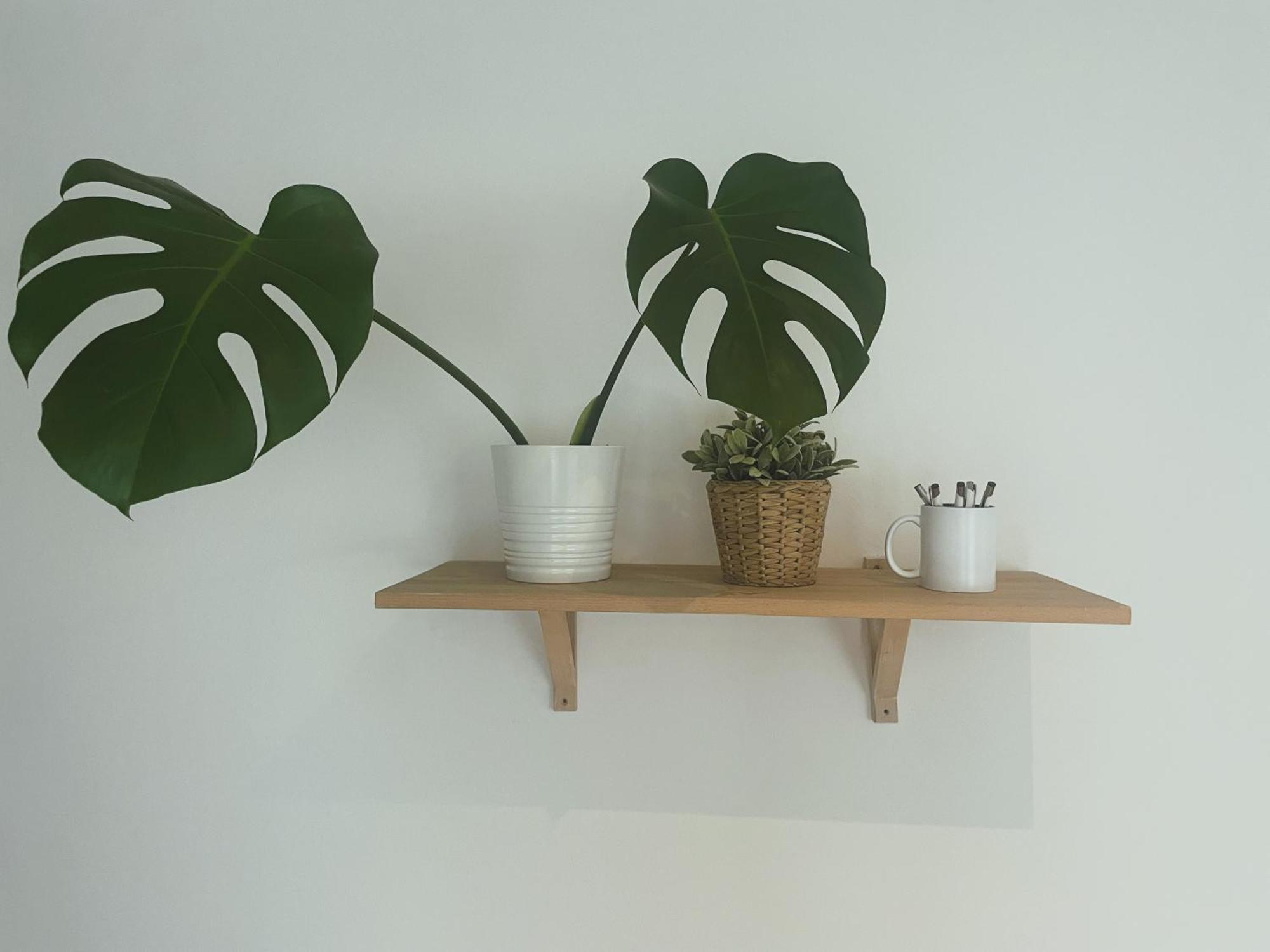 Apt 100 プラハ エクステリア 写真